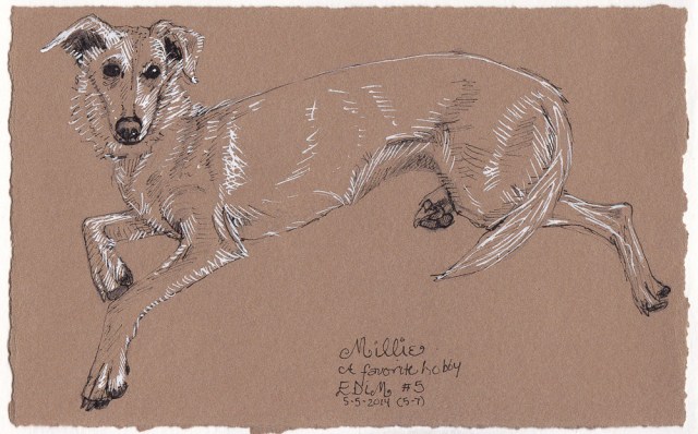 EDiM 5 Hobby (Millie), ink on Stonehenge brown paper glued in Moleskine, 5x7 in