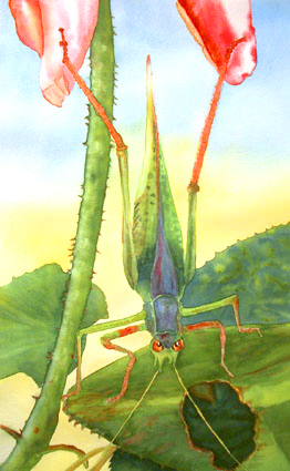 Cricket on a Rose Bush, Watercolor, 22x14