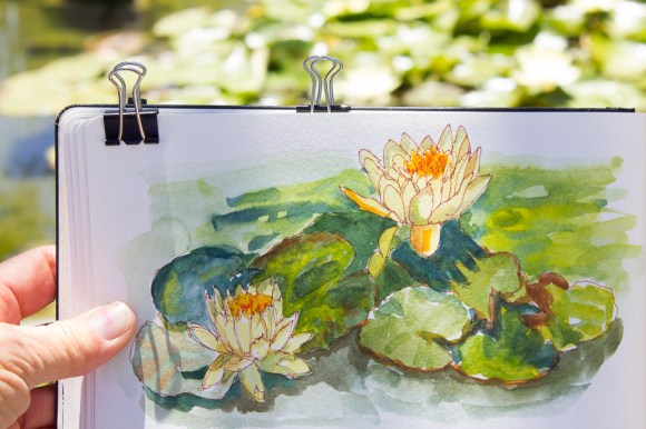 Water Lillies and their sketch at Bancroft Gardens, ink and watercolor, 5x8 in