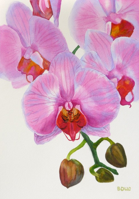 Orchid painting #2 in watercolor, 8.5" x 11.5" Published in "How to Paint Watercolor Flowers: Create Your Own Masterpiece in 6 Easy Steps." Available for $350.00