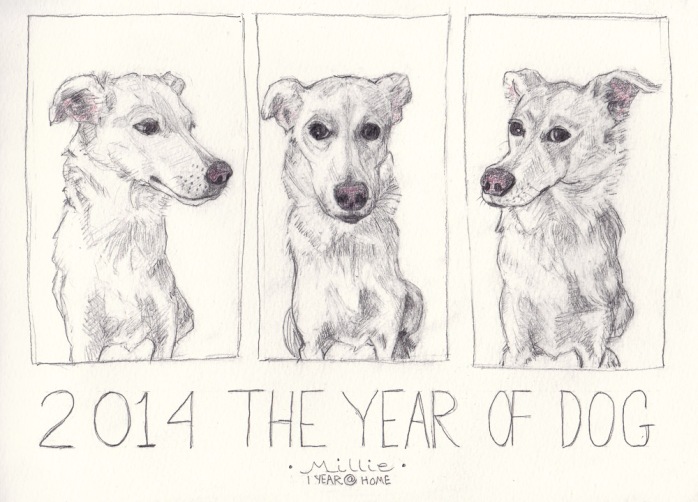 Millie: 2014 The Year of the Dog Detour, graphite in jumbo Moleskine WC Notebook, 8x11.5 inches