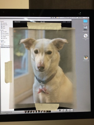 Tracing paper taped to iMac to compare and correct from photo