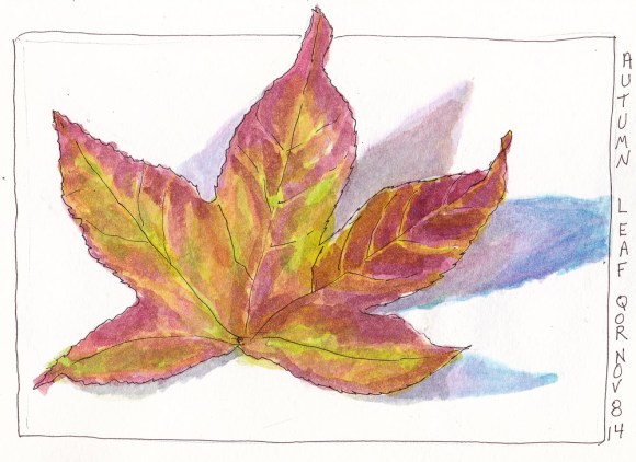 Leaf Sketch with QOR watercolors, ink and watercolor, 5x7 in