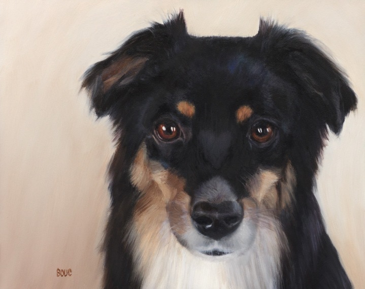 Whiskey, Portrait of Mini Aussie, oil on Gessobord panel, 8x10 inches