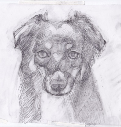 Preliminary sketch of Whiskey, graphite on vellum tracing paper, 8x10 inches