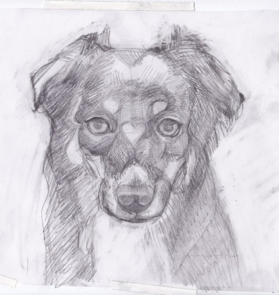 Preliminary sketch of Whiskey, graphite on vellum tracing paper, 8x10 inches