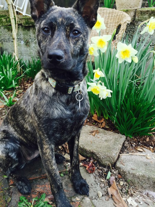 Mika reference photo #1