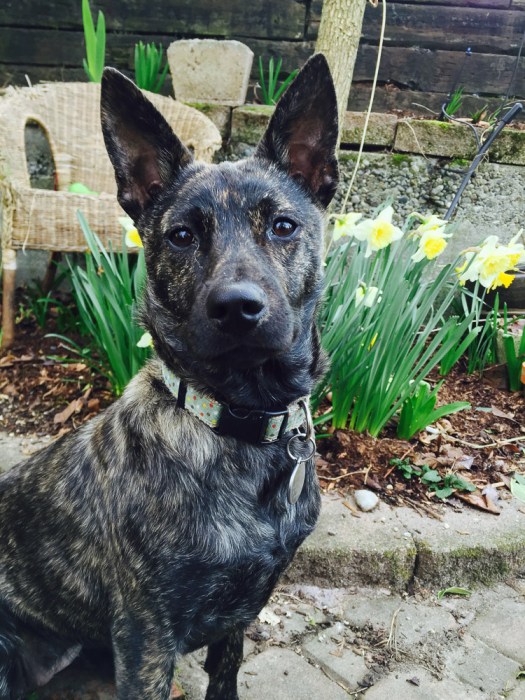 Mika reference photo #1