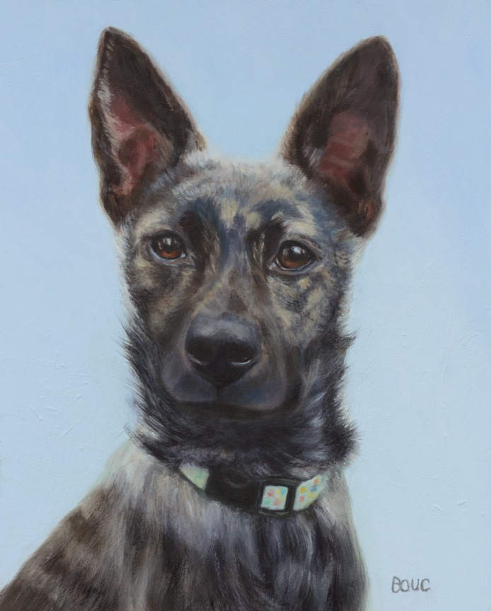 Mika, a Formosan Mountain Dog portrait in oil paint on linen panel,, 10x8 in