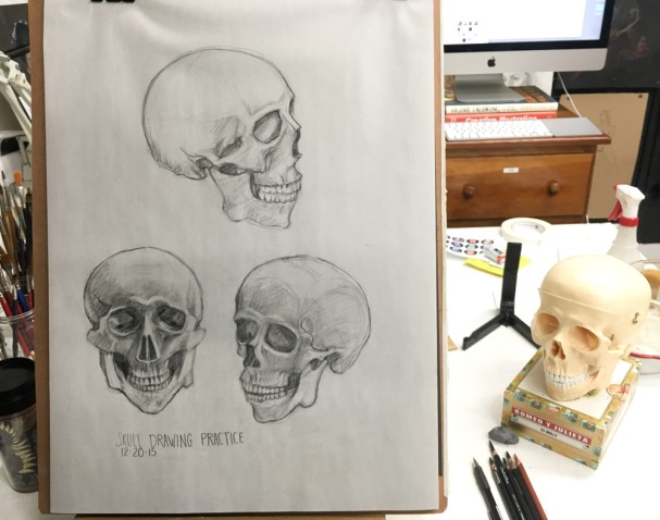 Skull drawing practice #1, Conte pencil on paper, 24x18 inches