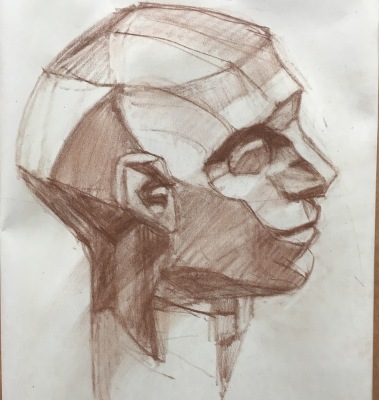 Planes of the head drawing practice