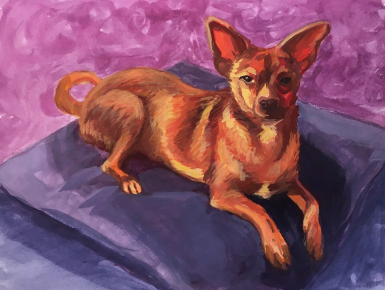 Chihuahua: Make color from B&amp;W: Gouache, 8x10"