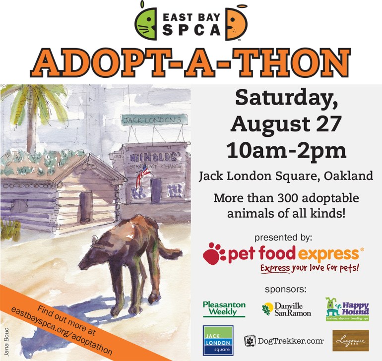 Adoptathon2016-BayWoff-Ad.FINAL-2