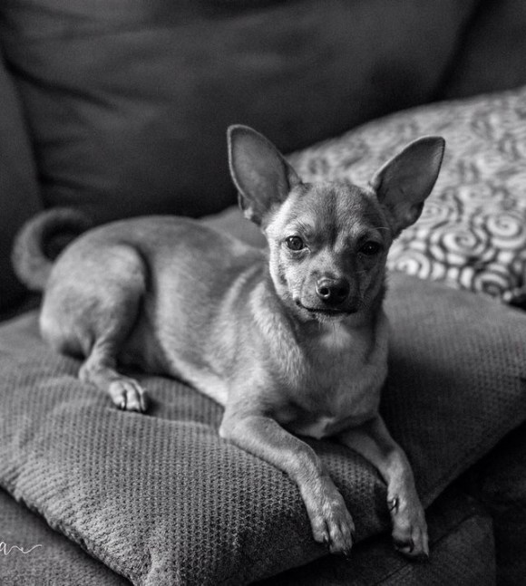 B&amp;W Photo Reference