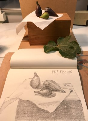 First Figs of 2016 with fig leaf and setup