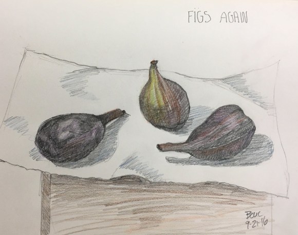 Figs on a Paper Towel on a Box, 2B Pencil in 8x10 Moleskine