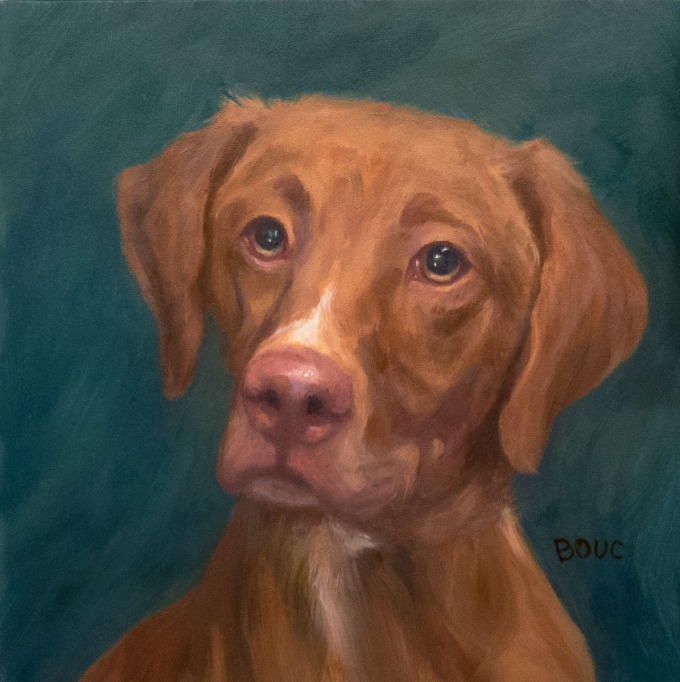 Dog Portrait of Dillon, oil on Gessobord panel, 8x8"