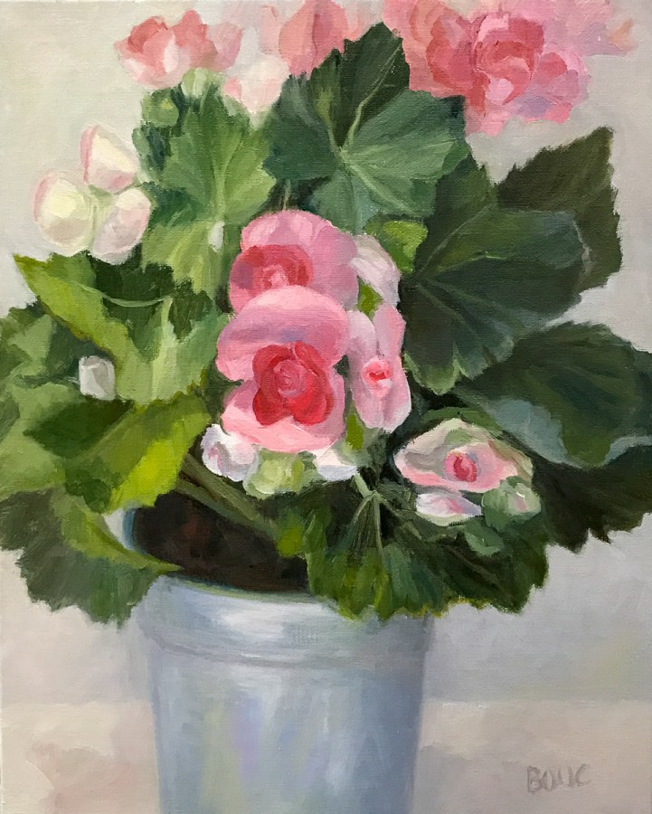 Winter Begonias in Tin Pot, Oil on Linen Panel, 10x8"