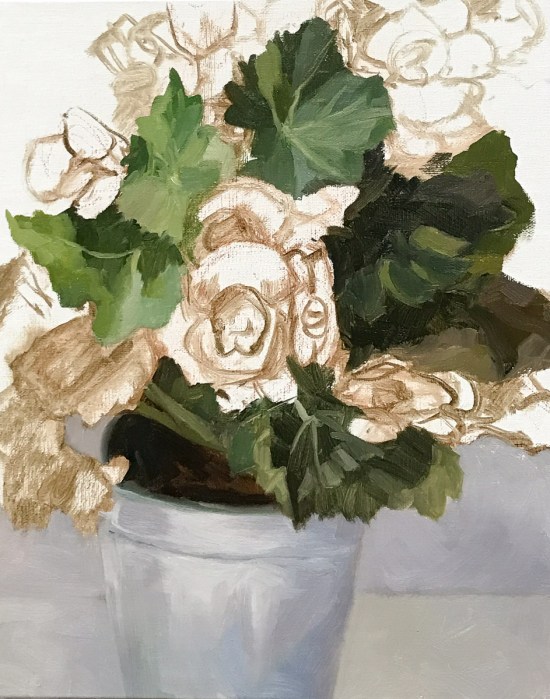 Winter Begonias in Tin Pot, WIP-A