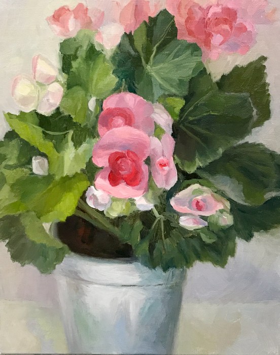 Winter Begonias in Tin Pot, WIP-C