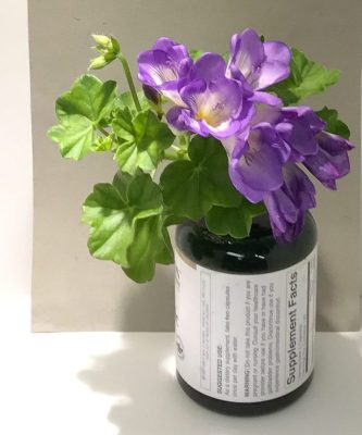 Fresia photo reference