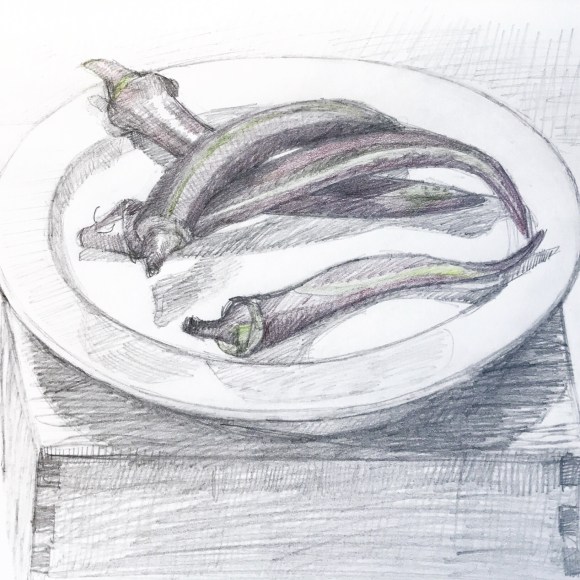 Red and Green Okra, graphite and colored pencil, 8x10"