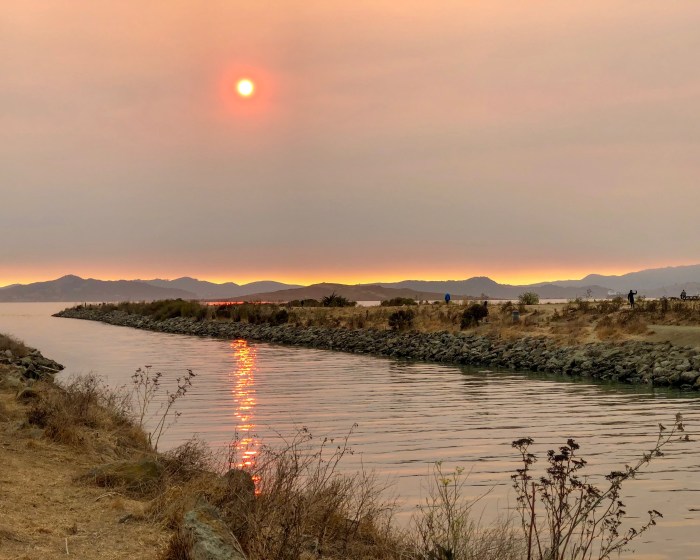 Photo that didn't at all capture the vibrancy of what I was seeing in real life!