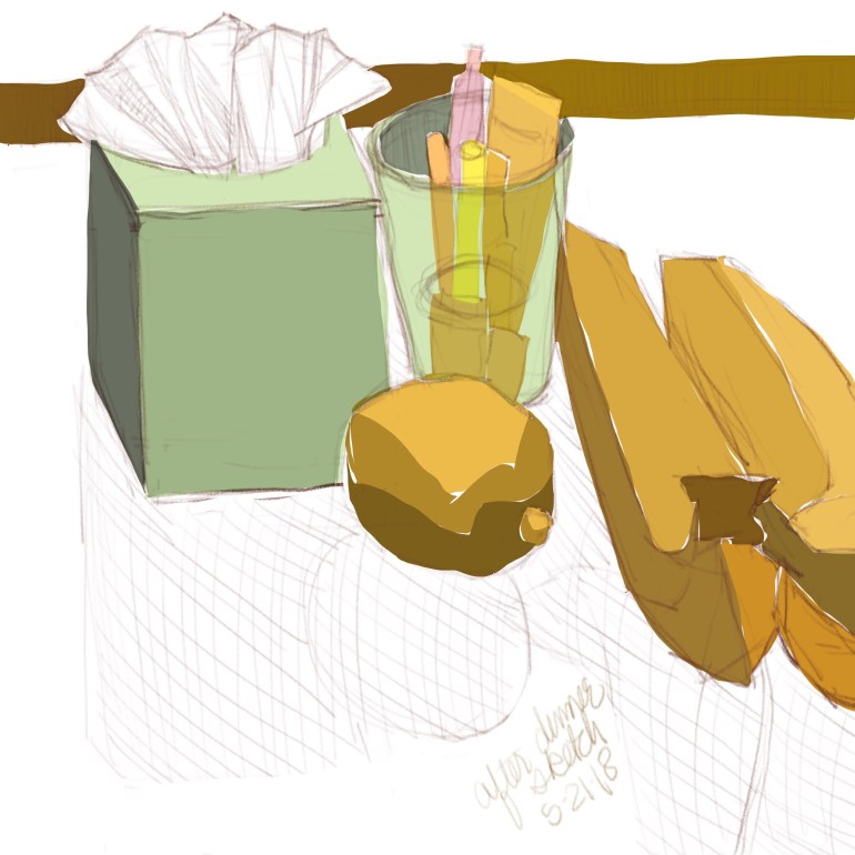 Another before breakfast sketch of stuff on the dining room table in Procreate on the iPad.