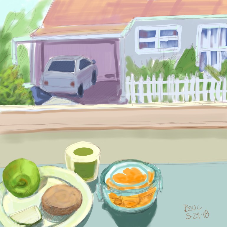 View from the kitchen table. iPad Pro and Procreate.