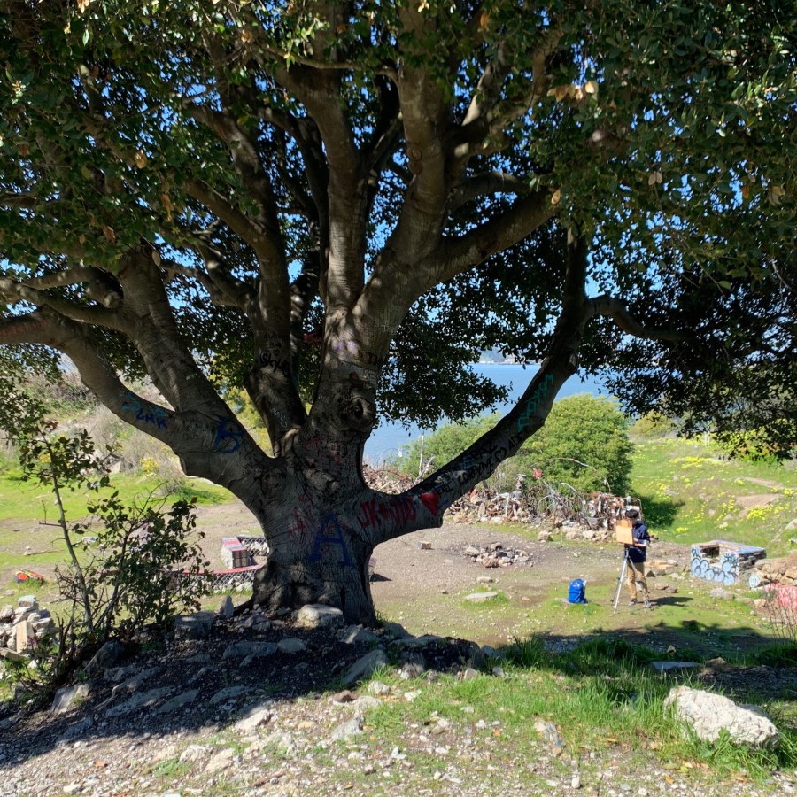 he painter I saw in the same spot the day before, with tree from the other side.