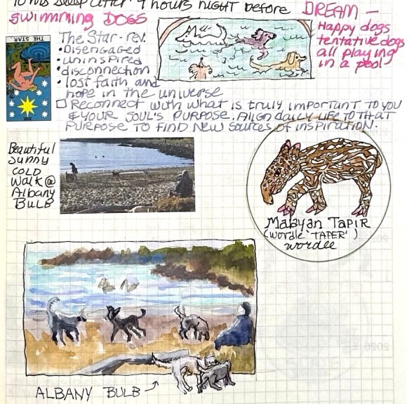 Wordle: Taper and a sketch of a Tapir