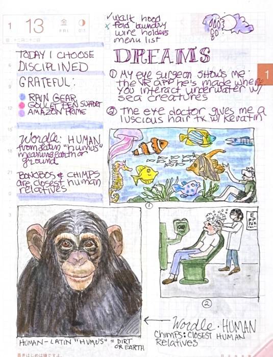 Wordle: HUMAN; Dreams: Eye Doctor Undersea and Shampoo Illustrated