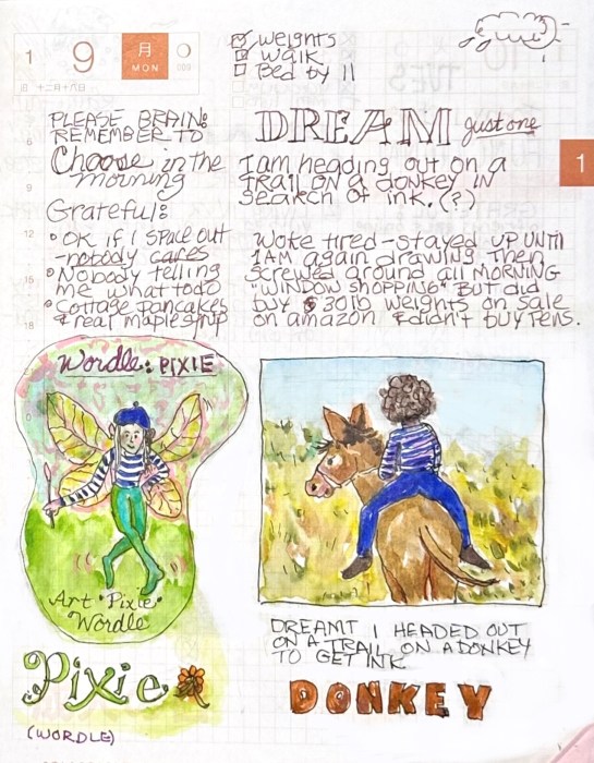 Wordle Pixie and Donkey Dreams illustrations