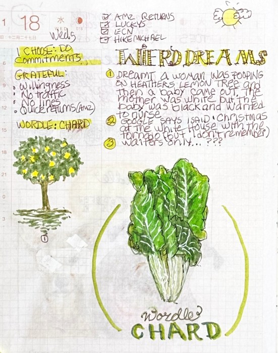 Wordle: Chard and Dreams
