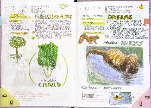 Wordle: Chard, Mucky and Dreams