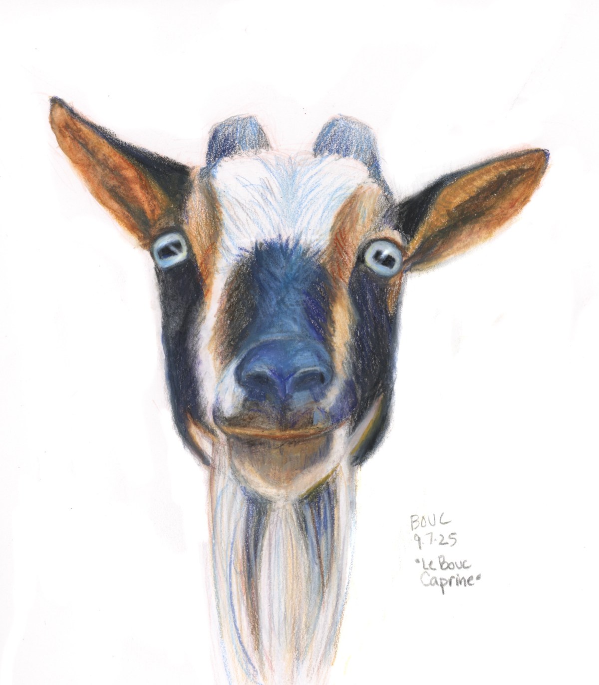 Goat Self Portrait, Because Bouc &&nbsp;Caprine